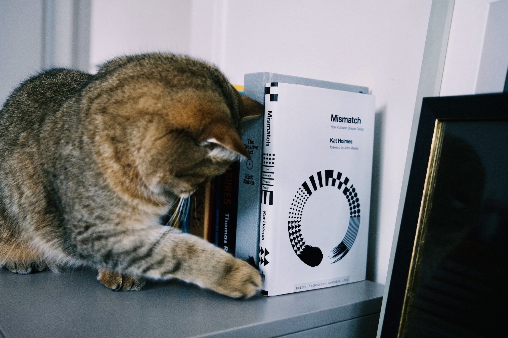 image title cat attacking bookmark