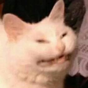 image title smiling cat