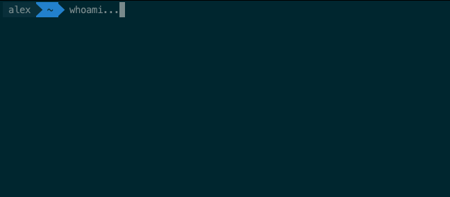 image title picture of a terminal showing who am i